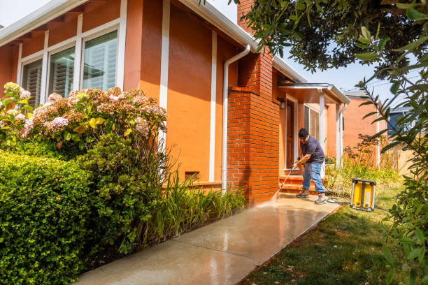 Best Deck Cleaning Services  in Warsaw, IL